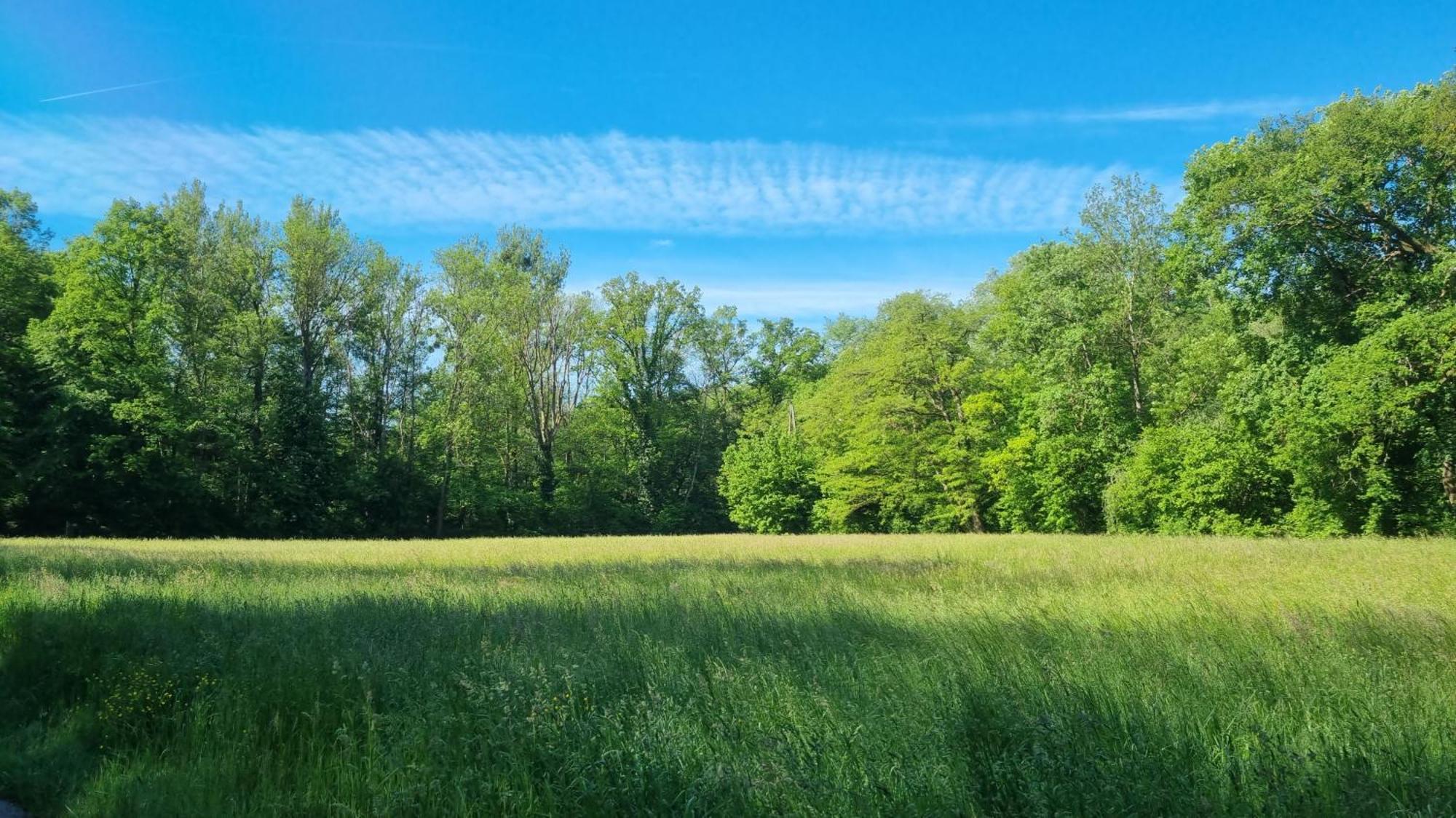 Ferienwohnung Erbachstrasse Waiblingen  Esterno foto